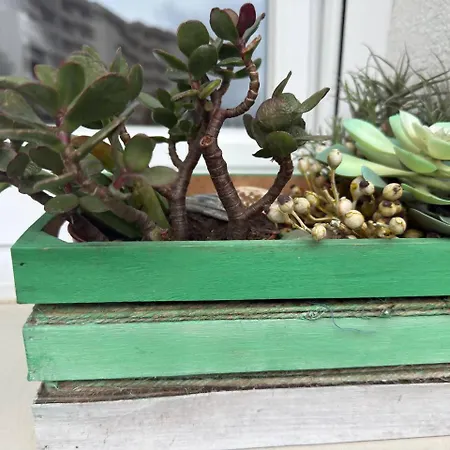 Dima Costa 3* Laredo