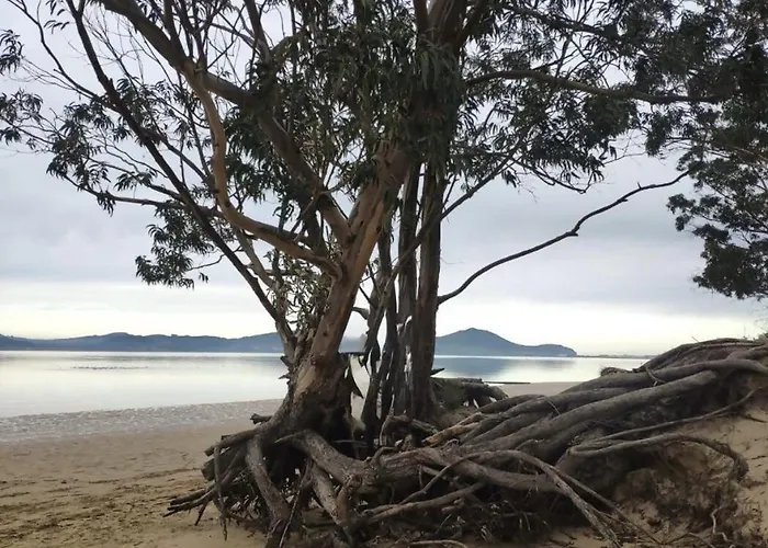 Gasthuis Dima Costa Laredo